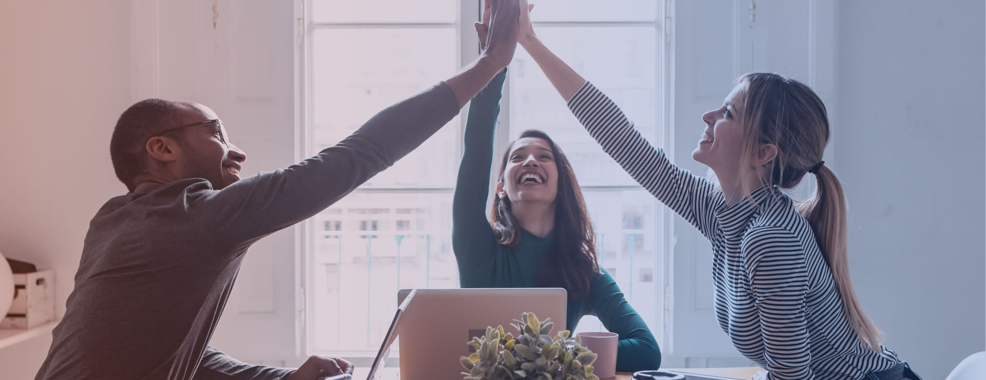 Crea proyectos inspiradores